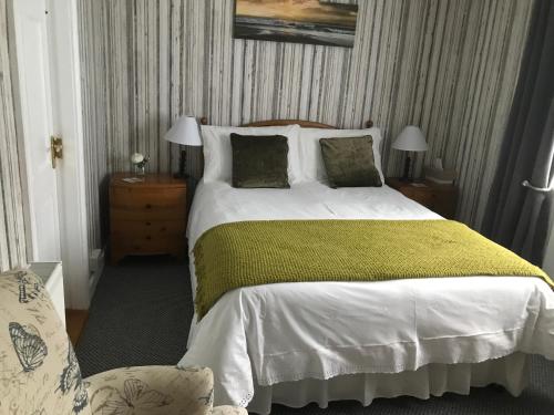 Barrow View B&B في Mountmellick: غرفة نوم بسرير كبير مع بطانية خضراء