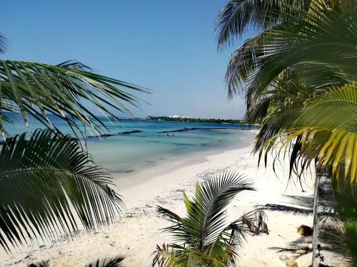 Villas Picalu Lodge – Photos 4