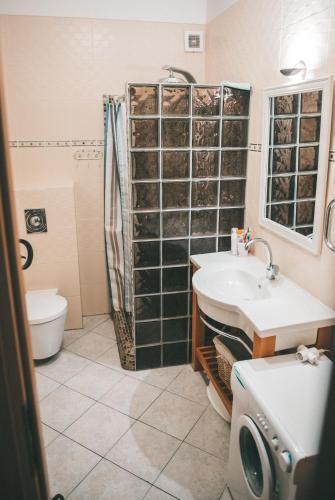 a bathroom with a sink and a toilet and a shower at Apartamentai Juodkranteje in Juodkrantė