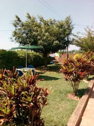 a garden with an umbrella and some plants at Rena Akasha Establishments in Kyenjojo
