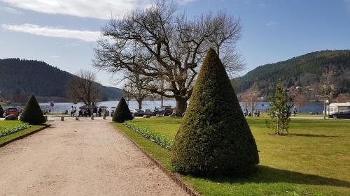 F2 SUR LES HAUTEURS DE GERARDMER