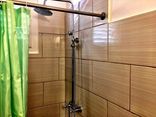a shower in a bathroom with a green shower curtain at Hotel Alicia Beach in Sosúa