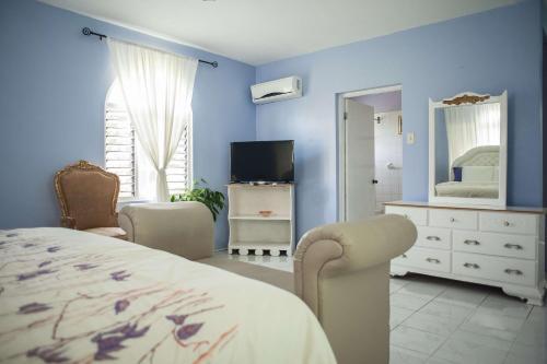 a bedroom with blue walls and a bed and a television at Diamond Villa Guest House in Montego Bay
