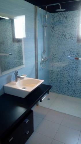 a bathroom with a sink and a shower at Sea View House in Ribeira Brava