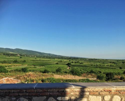 a view of a cultivated field with a road at Elizbar Talakvadze Winery in Kardanakhi