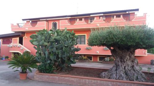 Le Palme Bed And Breakfast – Photos 5