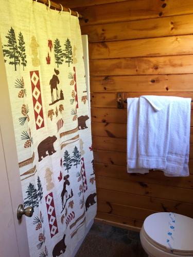 a bathroom with a toilet and a shower curtain at Shore Meadows Lodge LLC in Lake George