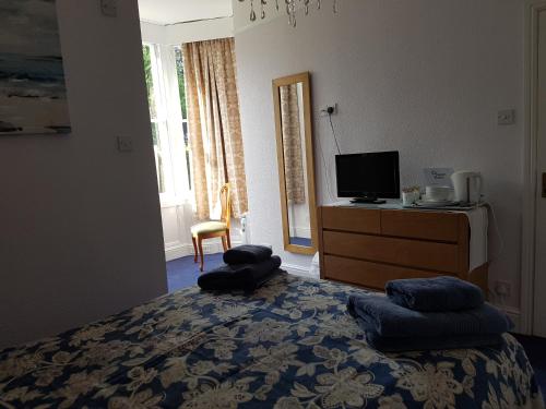 Μια τηλεόραση ή/και κέντρο ψυχαγωγίας στο Alexandra Lodge Guest House
