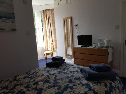 a bedroom with a bed and a tv on a dresser at Alexandra Lodge Guest House in Chester