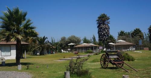 an old cart sitting in the grass in a park at Cabañas 4 Esquinas in La Serena