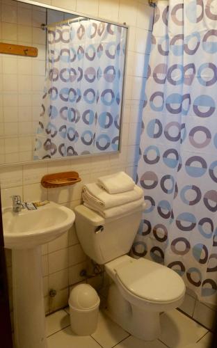a bathroom with a toilet and a sink and a shower curtain at Cabañas 4 Esquinas in La Serena
