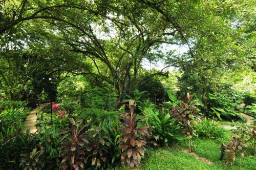 a garden with a bunch of plants and trees at Las Brisas del Sur in Ojochal