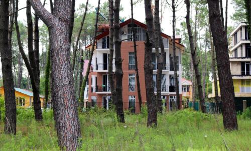 a building in the middle of a forest of trees at GiNa Shekvetili in Shekvetili