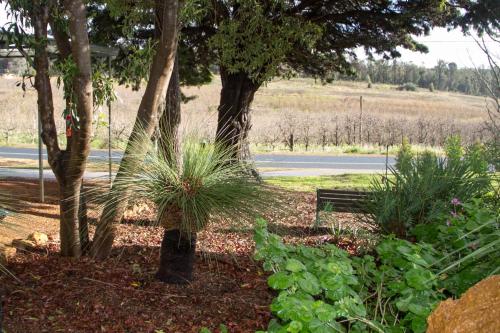 a park with a bench and some trees and plants at Farview Guest Accommodation in Pickering Brook