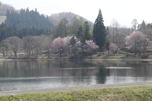 a body of water with trees in the background at Matsukaneya Annex in Zao Onsen