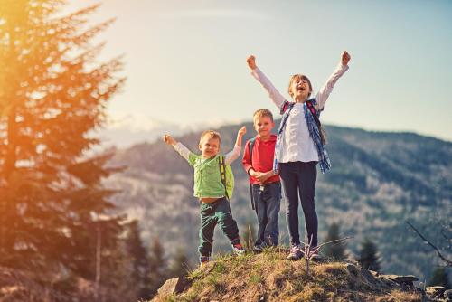 two children standing on top of a mountain with their arms up at Hotel Restaurant Les Brases in Sort