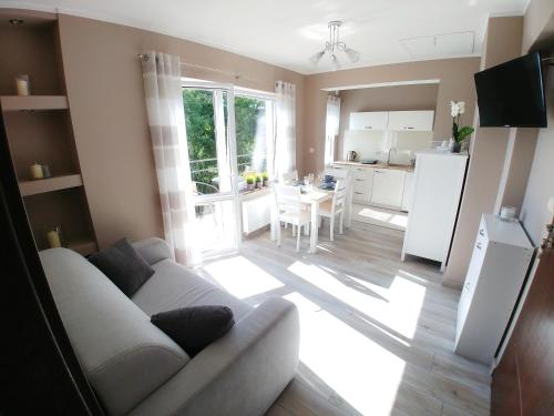 a living room with a couch and a kitchen at Apartamenty Aleksandria in Kamień Pomorski