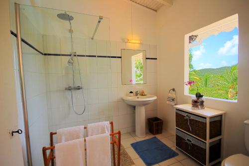 een badkamer met een douche en een wastafel bij Villa with swimming pool and garden view MQSA20 in Sainte-Anne