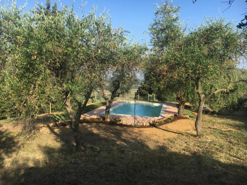 a swimming pool in a yard with trees at Case Nell' Aia in Poggibonsi