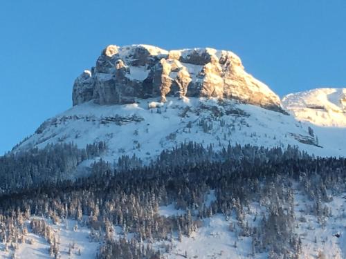 a mountain covered in snow with trees on it at Chalet Altaussee in Altaussee