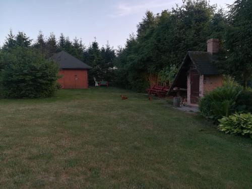 Κήπος έξω από το Agroturystyka Józefówka Borkowo Lęborskie