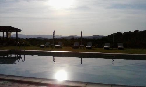 a pool with chairs and the sun reflecting in the water at Agriturismo Podere Casetta in Monterotondo