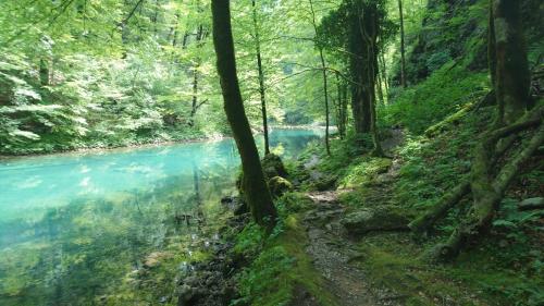 a stream in a forest with blue water at Riverview apartment Three Springs Tri Zvira in Zamost