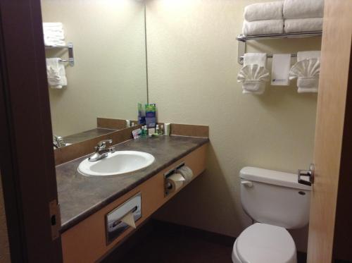 a bathroom with a sink and a toilet at Lakeview Inns & Suites - Fort Nelson in Fort Nelson