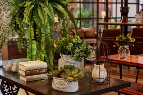 a table with some plants and books on it at W22 by Burasari in Bangkok