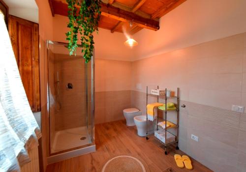 uma casa de banho com um chuveiro e um WC. em Podere I Gigli em Castiglion Fiorentino