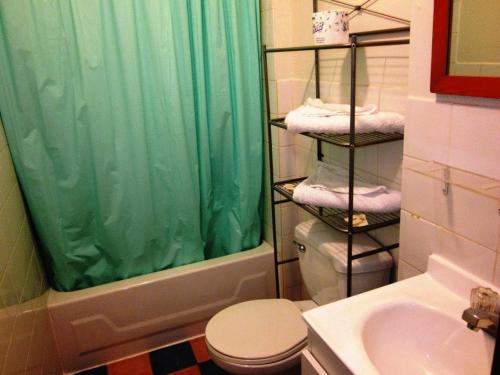 a bathroom with a shower curtain and a toilet and a sink at Hotel Ste-Catherine in Montréal