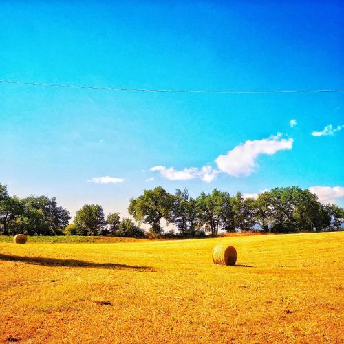 a field filled with hay bales in a field at Da Foschetta in Matelica