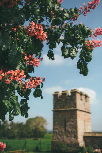 a tower with red flowers in front of a tree at Rowton Castle in Shrewsbury