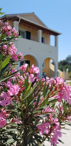 a bush of pink flowers in front of a house at Georgia Apartments in Roda