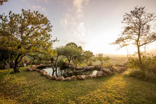 a pond with rocks and trees in a field at Leopard Mountain Safari Lodge in Manyoni Private Game Reserve