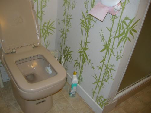 a bathroom with a toilet in a bathroom with bamboo wallpaper at Le Grand Pré in Daillancourt