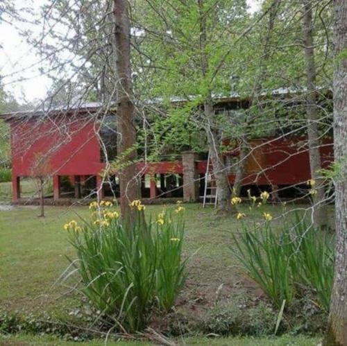 Gallery image of Flamante casa en Delta de Tigre in Buenos Aires