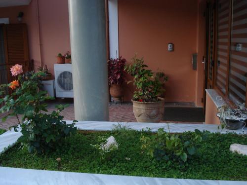 Gallery image of Hotel Anastazia in Póros Kefalonias