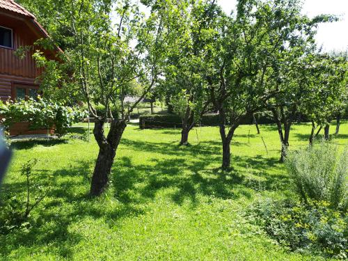 a yard with trees and grass with a house at Tourist Farm Znidarjevi in Kožljek