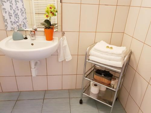 Ένα μπάνιο στο Vagabond Apartman