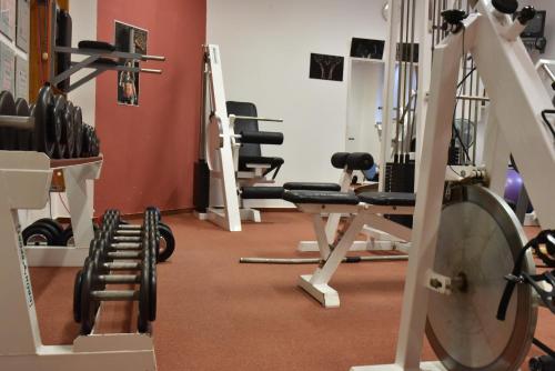 a gym with rows of treadmills and machines at Penzion Bělidlo in Kunžak
