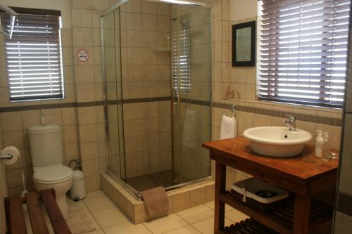 a bathroom with a shower and a sink and a toilet at 113 on Robberg in Plettenberg Bay