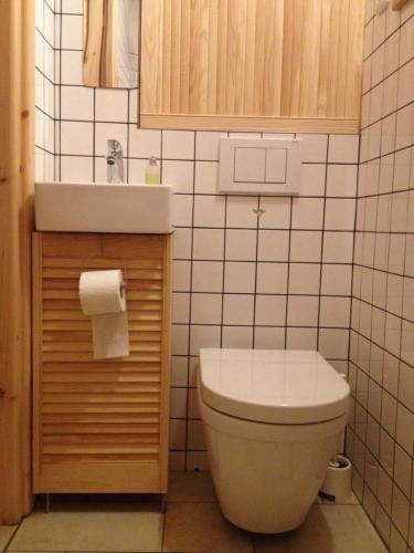 a bathroom with a toilet and a sink at Penzion Kunvald Končiny in Kunvald