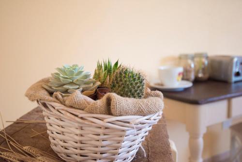 a basket filled with plants sitting on a table at Dolce Sosta in Lucca
