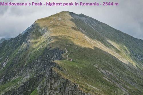 a mountain with a house on top of it at Pensiunea Flora in Cîrţişoara