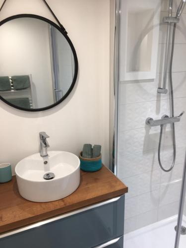 une salle de bain avec un lavabo, un miroir et une douche dans l'établissement Homelivia, Appart FRIDA, mezzanine, déco raffinée et balcon, à Nice