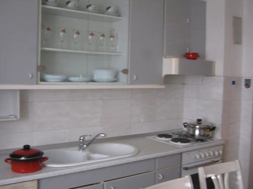 Kuchyň nebo kuchyňský kout v ubytování Apartments and Rooms Artemida