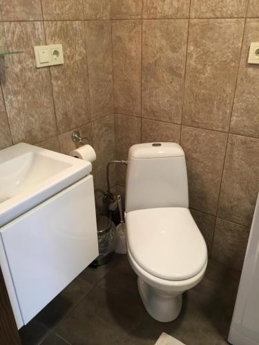 a bathroom with a white toilet and a sink at EcoLodge in Novoselitsa
