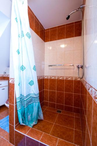 a shower with a blue shower curtain in a bathroom at Ubytování Světluška in Třeboň