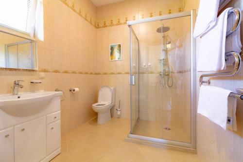 Un baño con ducha, inodoro y lavabo. en Vila Estate, en Palanga